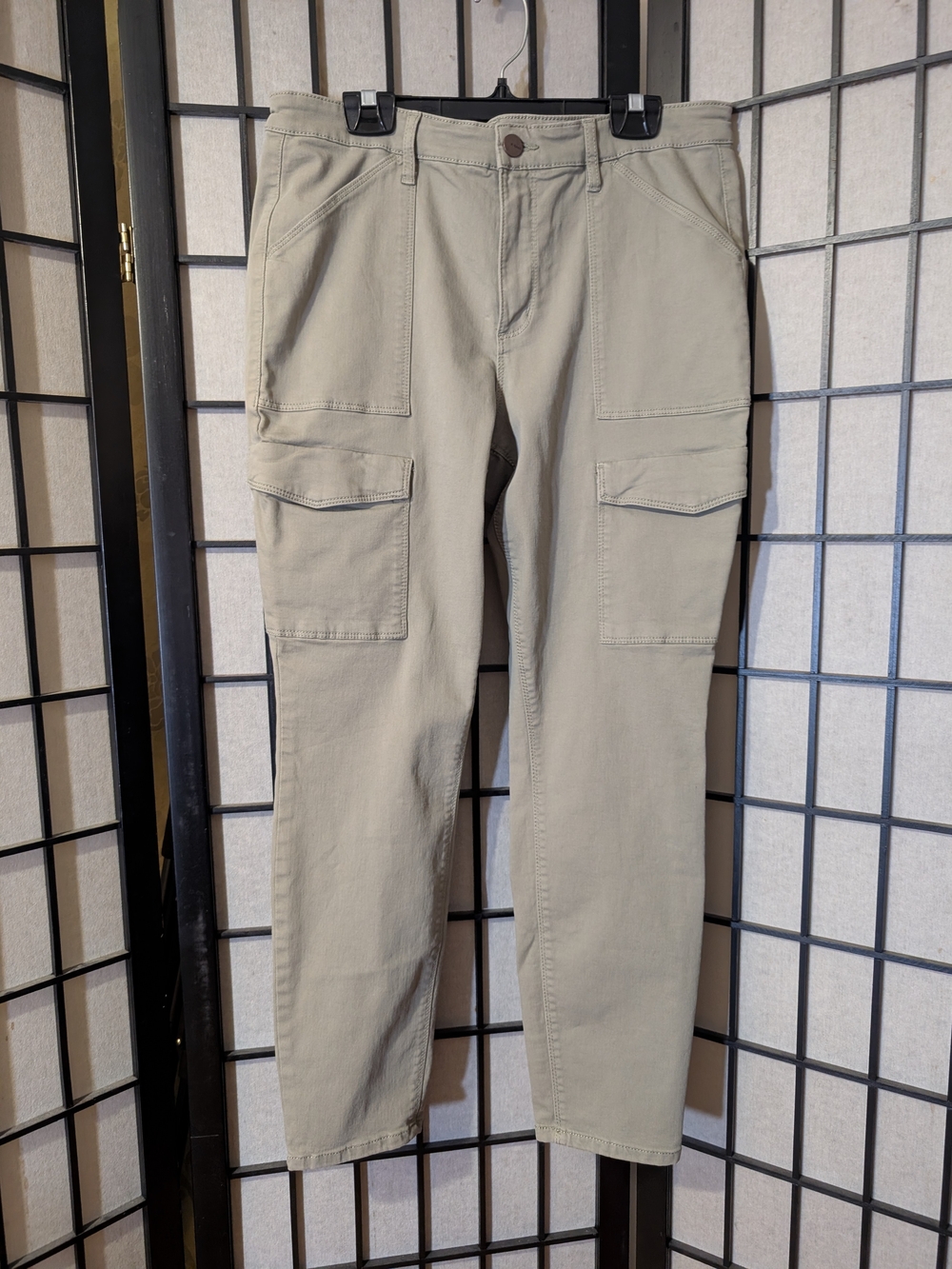 Reitmans R Jeans "The High Rise / La Taille Haute" pants (Petite Sz 31)